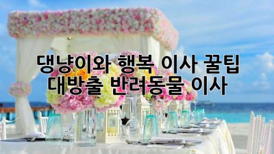 🐾 댕냥이와 행복 이사? 꿀팁 대방출! [반려동물 이사] 🏡