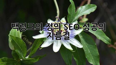 백링크의 정의: SEO 성공의 지름길