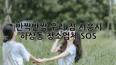 ✨반짝반짝✨ 우리 집, 시흥시 하상동 청소업체 SOS! 🚨